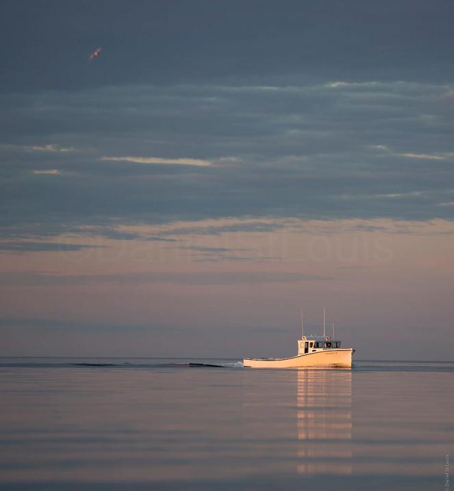 Fishing boat making the best of a sunset cruise in Grand Barachois, NB.