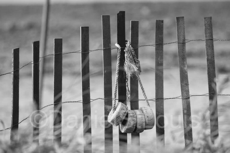 Fence in Grand Barachois, NB.
