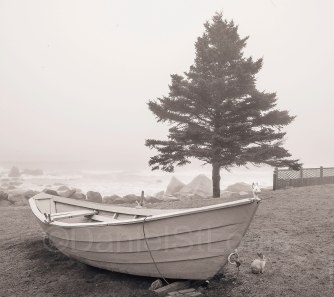 Boat on shore at White Point Beach.