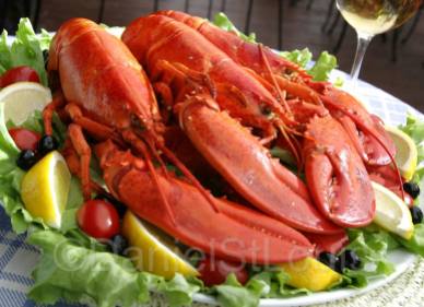 East Coast Lobster, Moncton NB