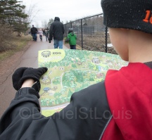 Navigating the Magnetic Hill Zoo